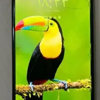 گوشی معاوضه با اسکوتر برقی