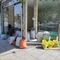 برنج و حبوبات فریدونی قیمت مناسب مناسب شادونه۳۴۰|خوردنی و آشامیدنی|بروجرد, |دیوار