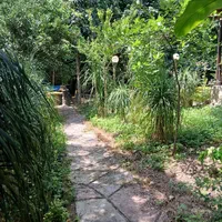 فروش ویلا باغ 1000 متری با باغ مرکبات بینظیر|فروش خانه و ویلا|امامزاده عبدالله, |دیوار