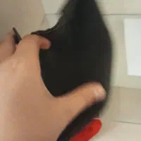 کیف پول|کیف، کفش، کمربند|شاهرود, |دیوار