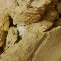 خاک رس سبز (گل سر شور )