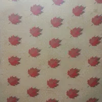 تشک تخت دونفره