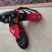 یک جفت کفش پرادیاتورر چمنی اکبند
