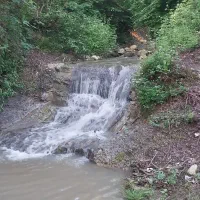 زمین دارای پروانه ساخت در سوادکوه شمالی منطق لفور|فروش زمین و ملک کلنگی|شیرگاه, |دیوار