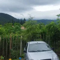 تیبا۲