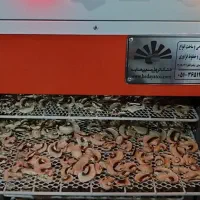 دستگاه میوه خشک کن|ماشینآلات صنعتی|مشهد, چاهشک|دیوار