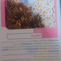 کتاب تست نو نو دست نخورده|کتاب و مجله آموزشی|میناب, |دیوار