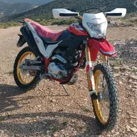 تریل برمودا 250خشک