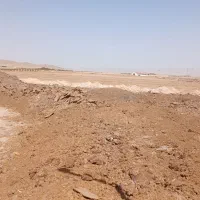 کود کهنه گاوی|لوازم جانبی حیوانات|تاکستان, |دیوار