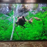 تلوزیون الجی کره سالم سالم50اینچ