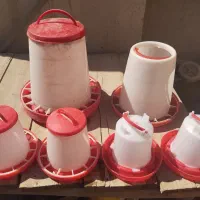 ظرف آب و دون خوری مرغ