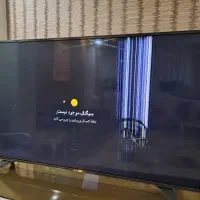 تلویزیون الی جی|تلویزیون و پروژکتور|کرج, باغستان|دیوار