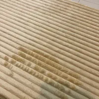 پادری WS|پادری|مشهد, استاد یوسفی (شهرک غرب)|دیوار