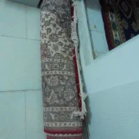 فقد پنج ملیون