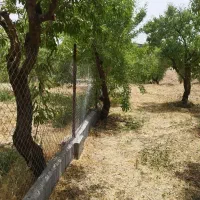 فروش چند قطعه باغ بار بده پل زمانخان|فروش زمین و ملک کلنگی|خمینی‌شهر, |دیوار