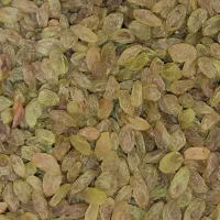 فروش کشمش سبز خراسان