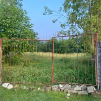 فروش فوری زمین ۲۵۰متری درروستای چالی