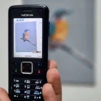 نوکیا ۶۳۰۰ استثنایی|موبایل|تهران, سلسبیل جنوبی|دیوار