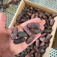 خرمای پیارم و مجول