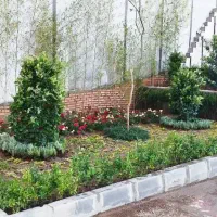 خدمات باغبانی گل کاری هرس کاری تعویض خاکگدان،،..