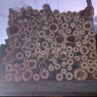 خرید. انواع  چوب با بالاترین قیمت