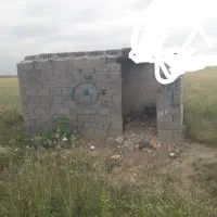 اجاره زمین شالی باچاه عمیق نقد|اجارهٔ دفتر صنعتی، کشاورزی، تجاری|گنبد کاووس, |دیوار