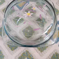ظرف درب دار پیرکس