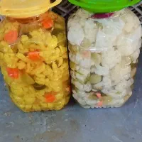 خریدو فروش خیارشور وترشیجات