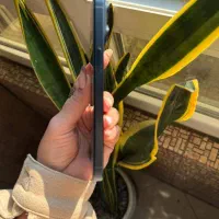 15 پرومکس 256 بدون رجیستری|موبایل|تهران, جمال‌زاده|دیوار