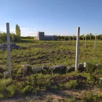 زمین-باغی