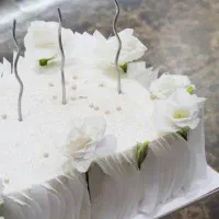 دو عدد ماکت کیک مستطیلی مناسب کیک متری|مجسمه، تندیس، ماکت|بیرجند, |دیوار