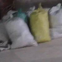 خاک کبوتر