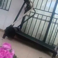 تردمیل ارزان