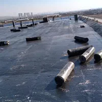 ایزوگام قیر گونی کمالشهر باغستان سهیلیه کردان کرج|خدمات پیشه و مهارت|کرج, گوهردشت|دیوار