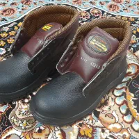 کفش ایمنی دوجفت