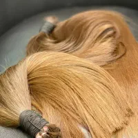 خریداراصلی مو بدون واسطه و دلال. رنگ و خام