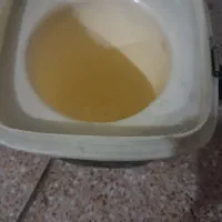 ظرف نگهدارنده غذا