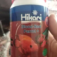 غذای ماهی هیرکاری اصلی ژاپن مخصوص ماهی گوشت خوار