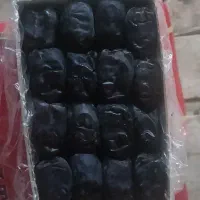 خرمای دوردیف