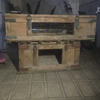 قفس لانه