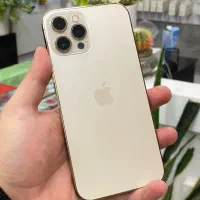 ایفون 12 promax