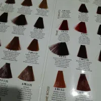 چنتا وسایل  کاربردی|حراج|بوشهر, |دیوار