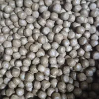 خوراک ماهی غزل و کپور