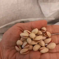 پسته احمدآقایی درجه یک انس 27