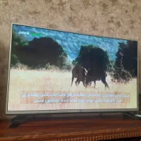 تلویزیون  ۴۲اینچ ال جی|تلویزیون و پروژکتور|چهارباغ, |دیوار