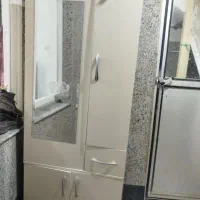 جاکفشی سالم