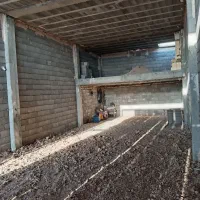 اجاره مغازه شهرک امیر کبیر