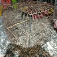 خونه ی پرنده دست دوم طول48 سانت عرض 32 سانت