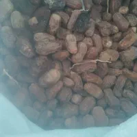 خرما فروشی|عمده‌فروشی|ایرانشهر, |دیوار