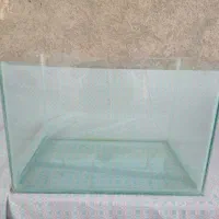 اکواریم